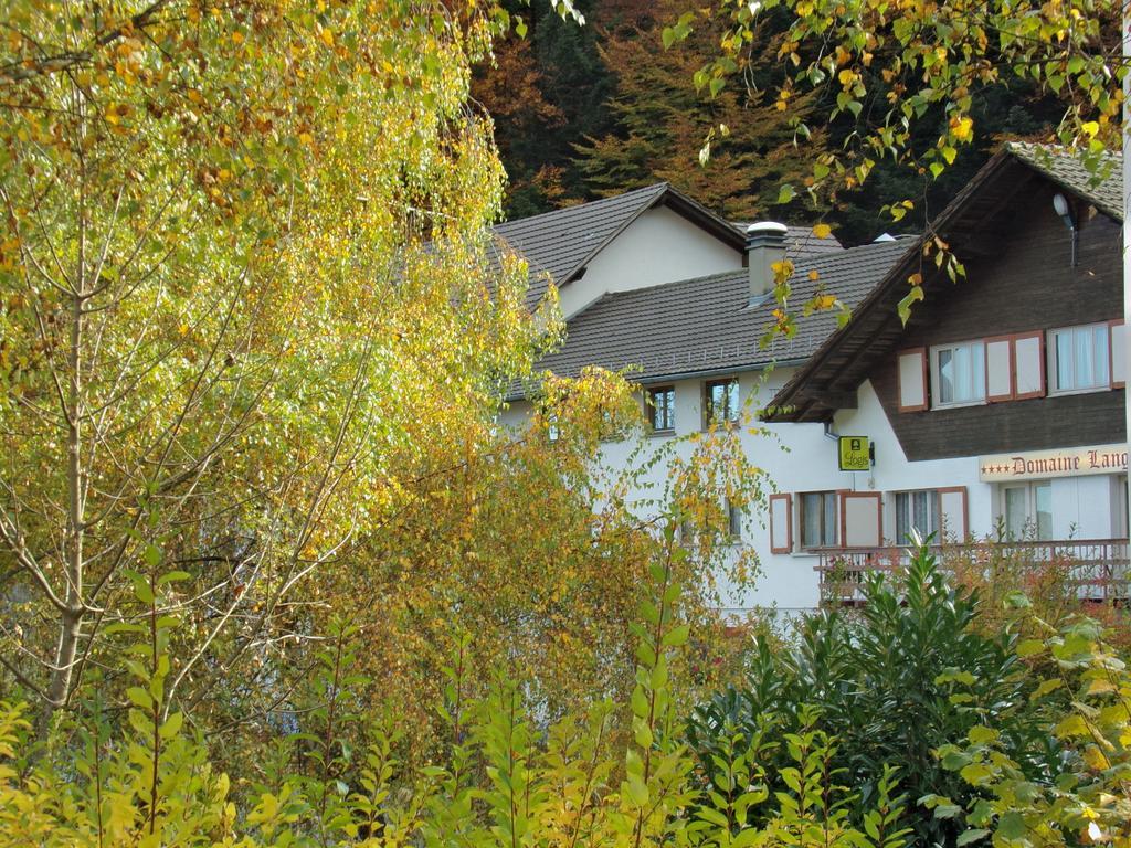 Hotel-Spa & Restaurant Logis Domaine Langmatt Murbach Exteriér fotografie