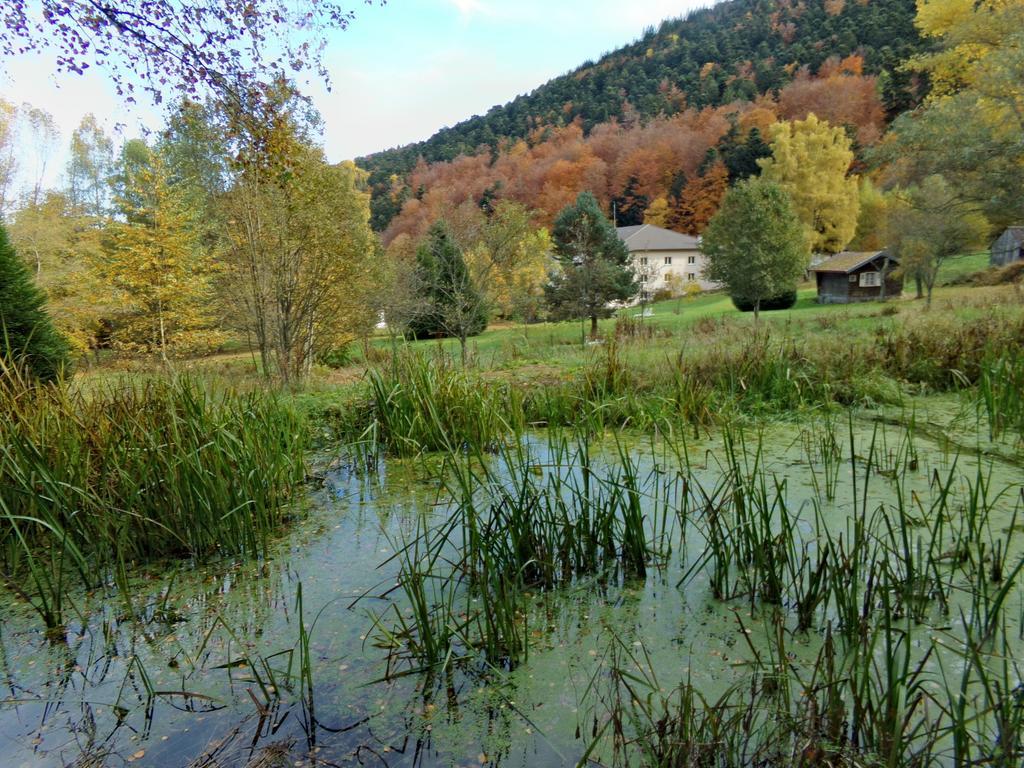 Hotel-Spa & Restaurant Logis Domaine Langmatt Murbach Exteriér fotografie