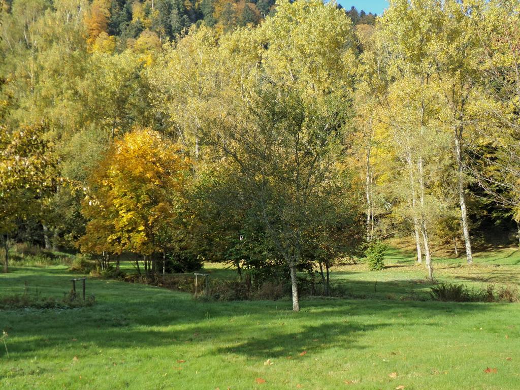 Hotel-Spa & Restaurant Logis Domaine Langmatt Murbach Exteriér fotografie
