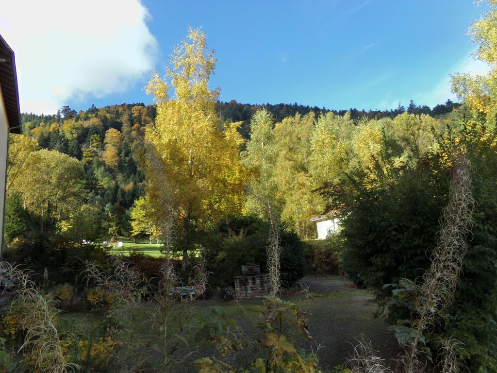 Hotel-Spa & Restaurant Logis Domaine Langmatt Murbach Exteriér fotografie